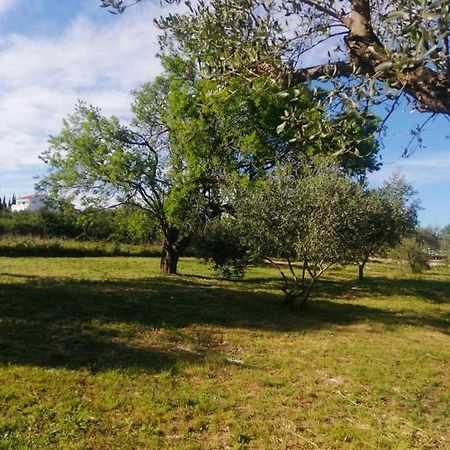 S&M Camping Sveti Filip i Jakov Eksteriør billede