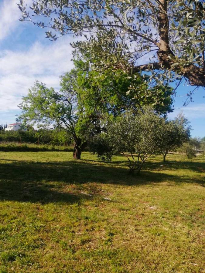 S&M Camping Sveti Filip i Jakov Eksteriør billede